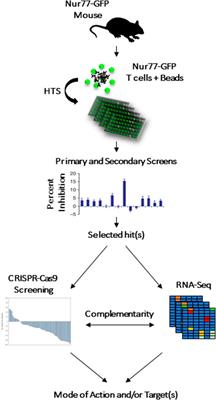 Recent Advances in Cancer Drug Discovery Through the Use of Phenotypic Reporter Systems, Connectivity Mapping, and Pooled CRISPR Screening